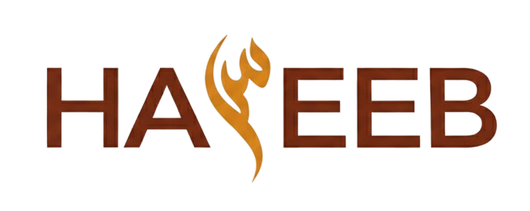 Haseeb Accounting & Advisory - UAE Tax Consultants